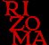 per il rizoma (per la coda o per la testa)