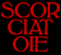 le scorciatoie nella malabolgia
